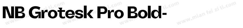 NB Grotesk Pro Bold字体转换